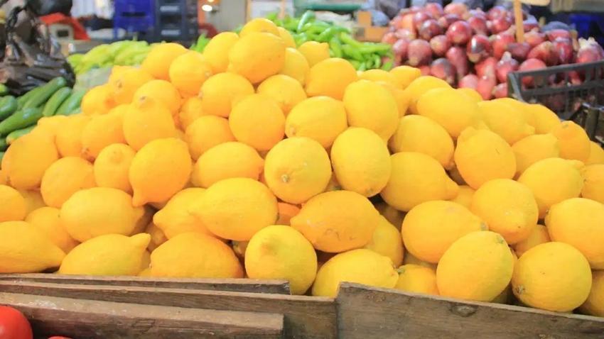 Eskişehir'de limonun kilosu Türkiye'yi geçti! Semt pazarında satan 3 kişiyi geçmiyor