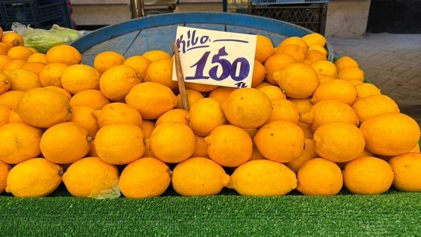 Eskişehir'de limonun kilosu Türkiye'yi geçti! Semt pazarında satan 3 kişiyi geçmiyor