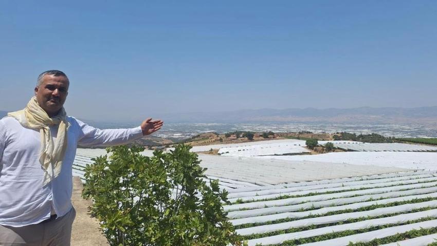 Manisa'da Sarıgöl Ovası beyaz gelinliği giydi! Dünyaca ünlü ürün böyle korunuyor