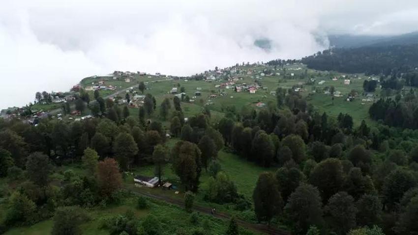 Türkiye yanarken onlar serin havanın tadını çıkarıyor!