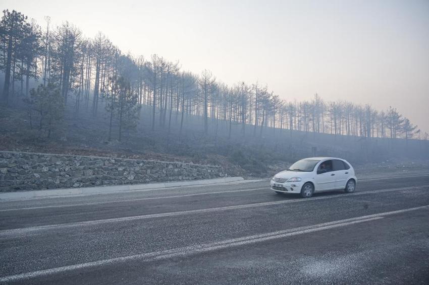 Bursa'daki orman yangını üçüncü gününde! Dumandan göz gözü görmüyor