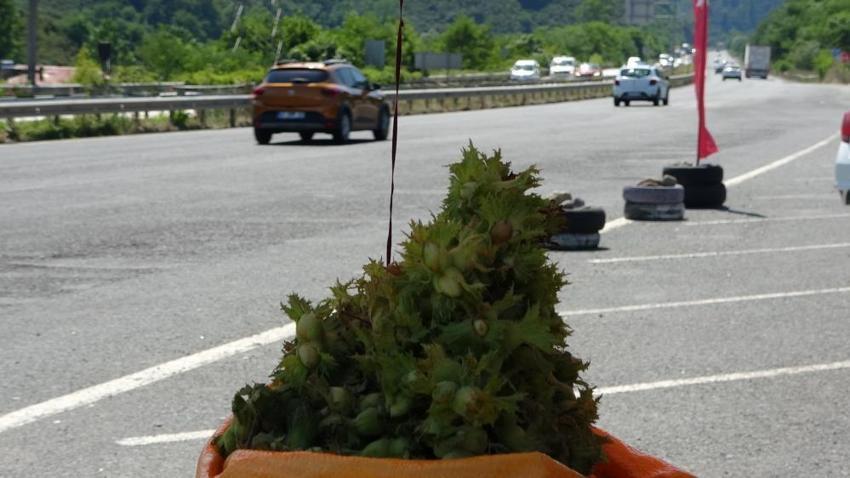 Hobi amaçlı yol kenarına kurdu, kilosuna 200 TL veren var! Tezgahı gören mutlaka duruyor, günde 20 kilo satıyor