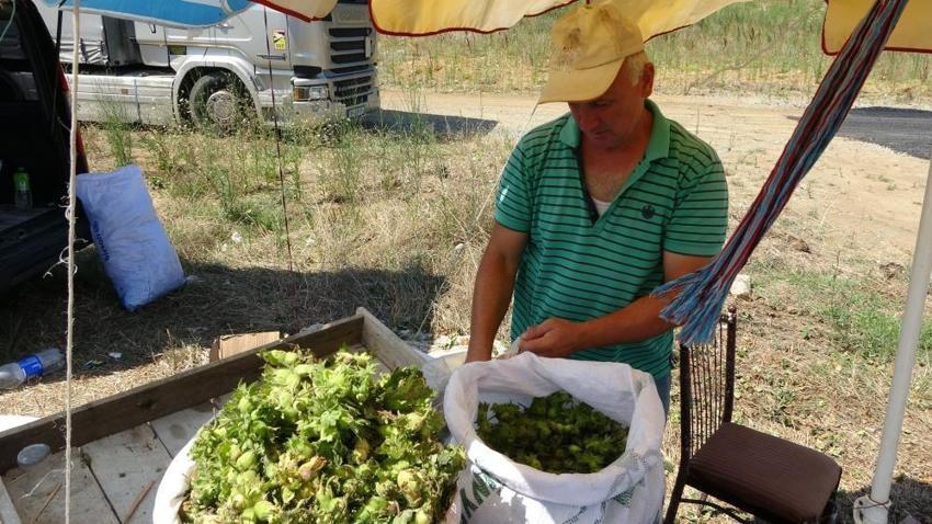 Hobi amaçlı yol kenarına kurdu, kilosuna 200 TL veren var! Tezgahı gören mutlaka duruyor, günde 20 kilo satıyor