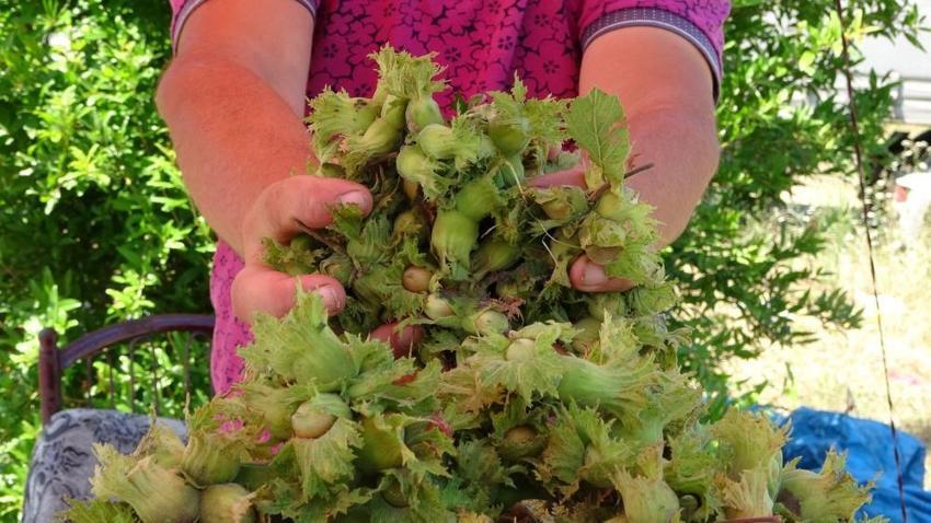 Hobi amaçlı yol kenarına kurdu, kilosuna 200 TL veren var! Tezgahı gören mutlaka duruyor, günde 20 kilo satıyor