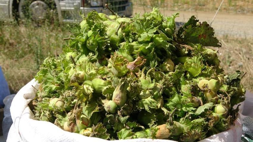 Hobi amaçlı yol kenarına kurdu, kilosuna 200 TL veren var! Tezgahı gören mutlaka duruyor, günde 20 kilo satıyor