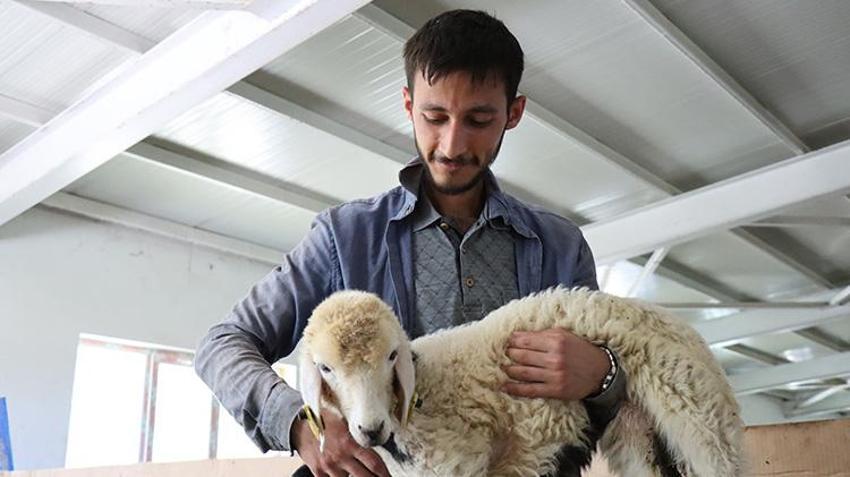 Genç girişimci Erzincan'a döndü, devlet desteğini aldı! Şimdi her yıl tonlarca ürün hasat edip satıyor