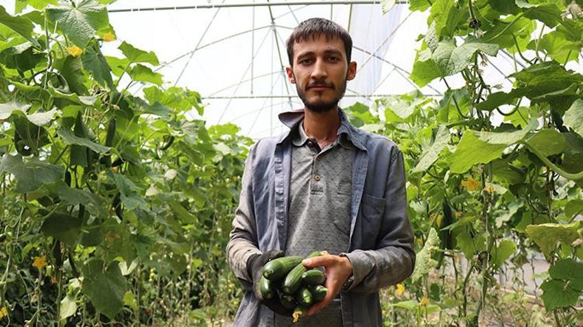 Genç girişimci Erzincan'a döndü, devlet desteğini aldı! Şimdi her yıl tonlarca ürün hasat edip satıyor