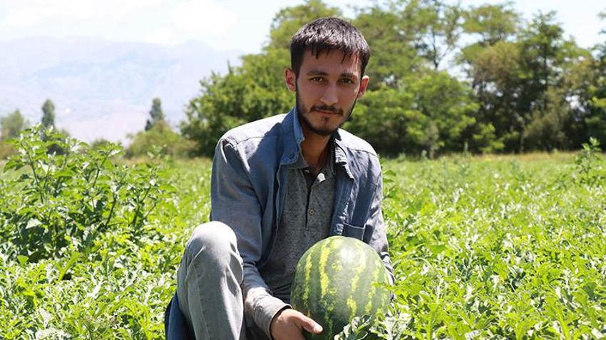 Genç girişimci Erzincan'a döndü, devlet desteğini aldı! Şimdi her yıl tonlarca ürün hasat edip satıyor