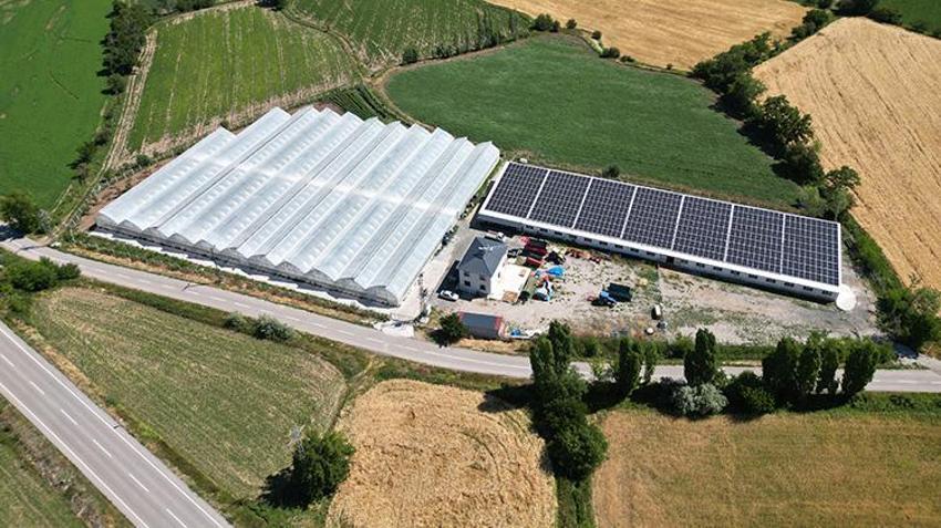 Genç girişimci Erzincan'a döndü, devlet desteğini aldı! Şimdi her yıl tonlarca ürün hasat edip satıyor