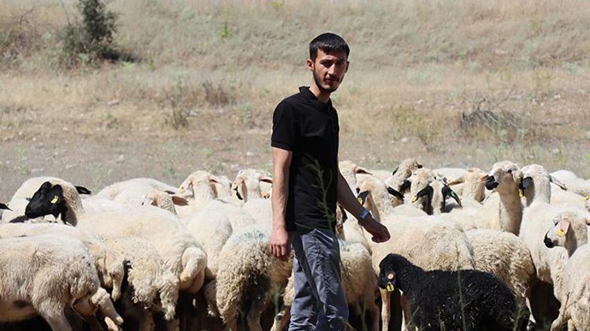 Genç girişimci Erzincan'a döndü, devlet desteğini aldı! Şimdi her yıl tonlarca ürün hasat edip satıyor
