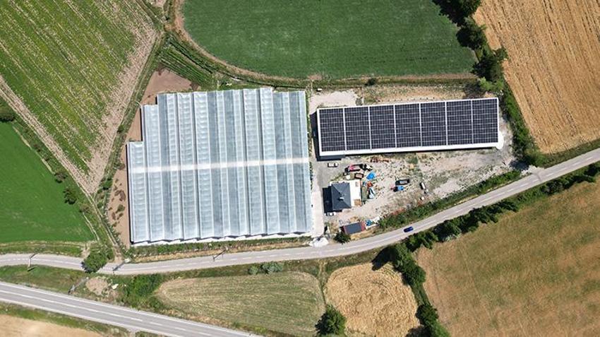 Genç girişimci Erzincan'a döndü, devlet desteğini aldı! Şimdi her yıl tonlarca ürün hasat edip satıyor