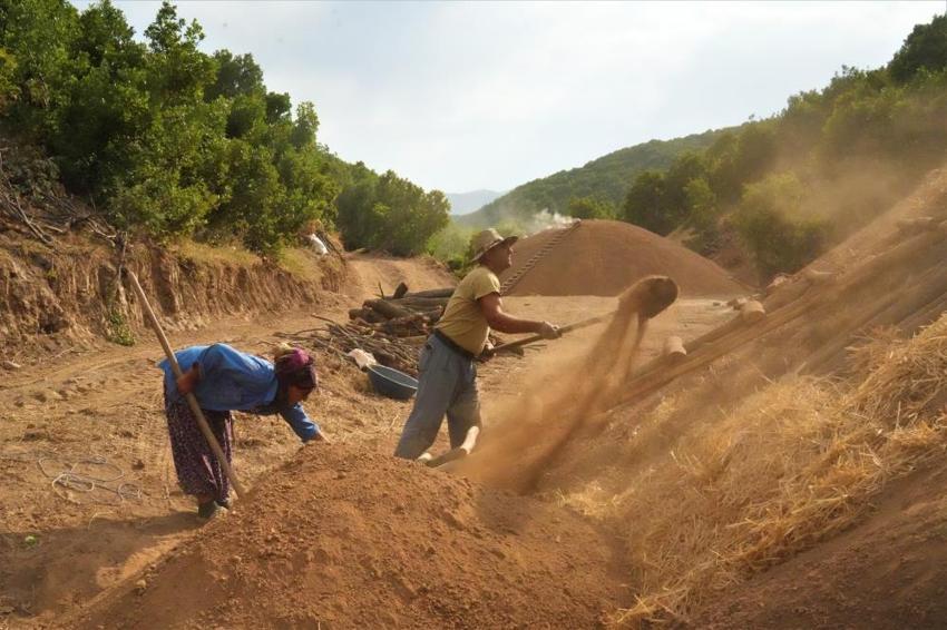 Muş dağlarında 6 ay süren zorlu mesai: 12 aile 50 ton üretiyor!