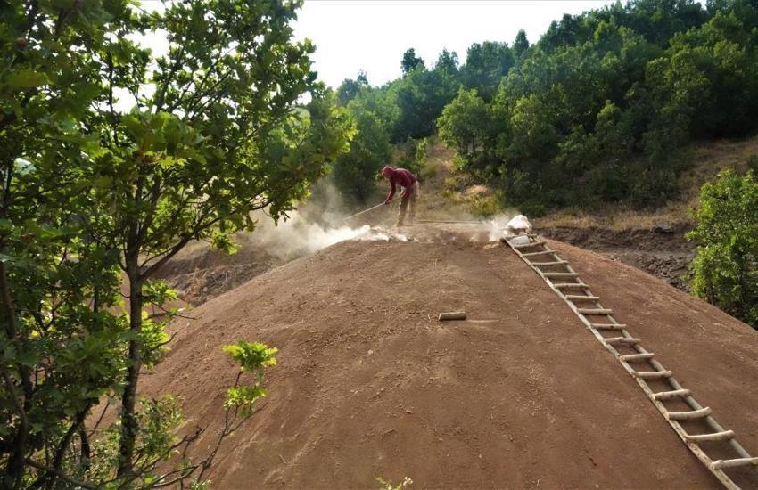 Muş dağlarında 6 ay süren zorlu mesai: 12 aile 50 ton üretiyor!