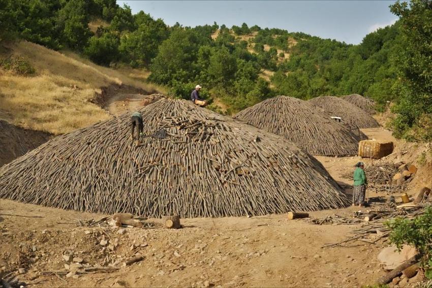 Muş dağlarında 6 ay süren zorlu mesai: 12 aile 50 ton üretiyor!