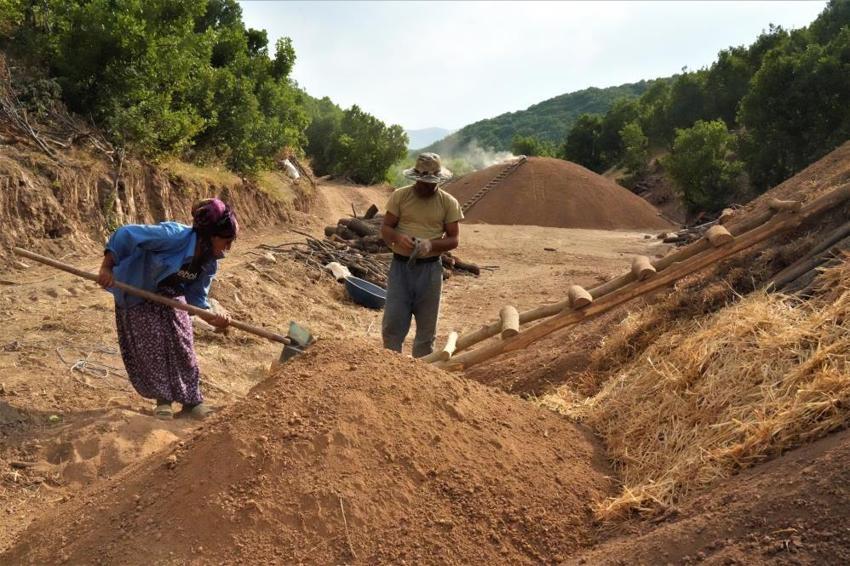 Muş dağlarında 6 ay süren zorlu mesai: 12 aile 50 ton üretiyor!