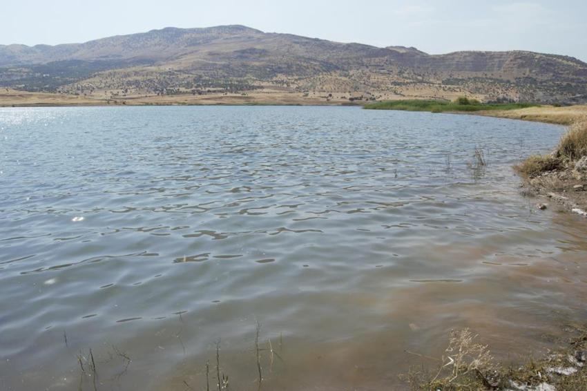 Diyarbakır Dicle'de vatandaşların tek bir isteği var! 'Göl kenarına mesire alanı istiyoruz'