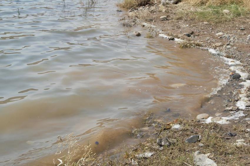 Diyarbakır Dicle'de vatandaşların tek bir isteği var! 'Göl kenarına mesire alanı istiyoruz'