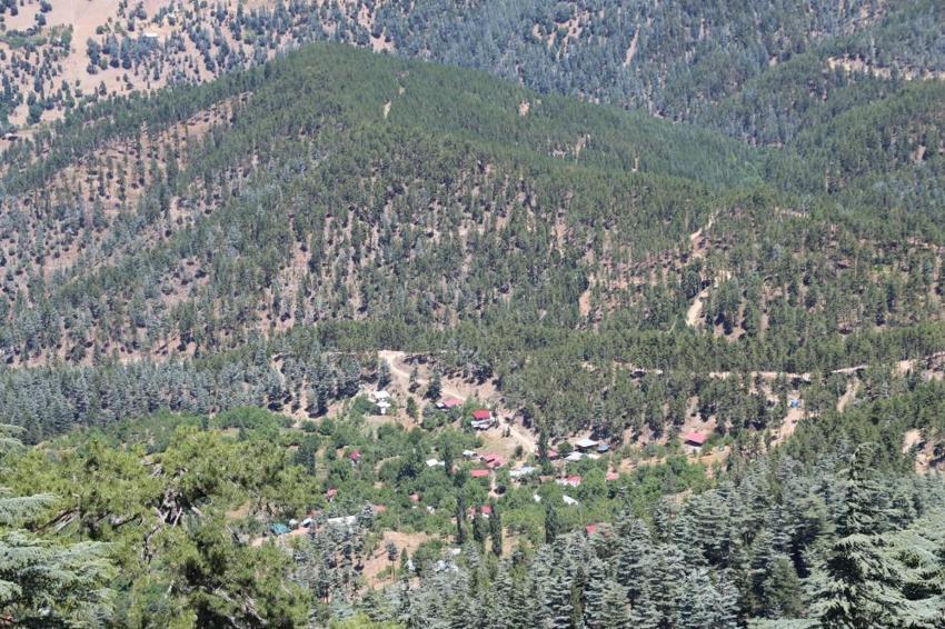 Feke'de 700 bin rakımda yeşil vatan nöbeti! Son teknolojiyle yangınlara geçit yok!