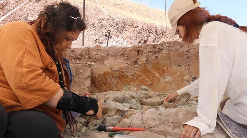 Çankırı'nın tarihini değiştiren keşif! Filler, gergedanlar ve zürafalar; Tam 9 milyon yıl