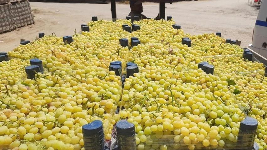 Manisa'dan Türkiye'ye yola çıktı: Kilosuna 50 lira veren var!