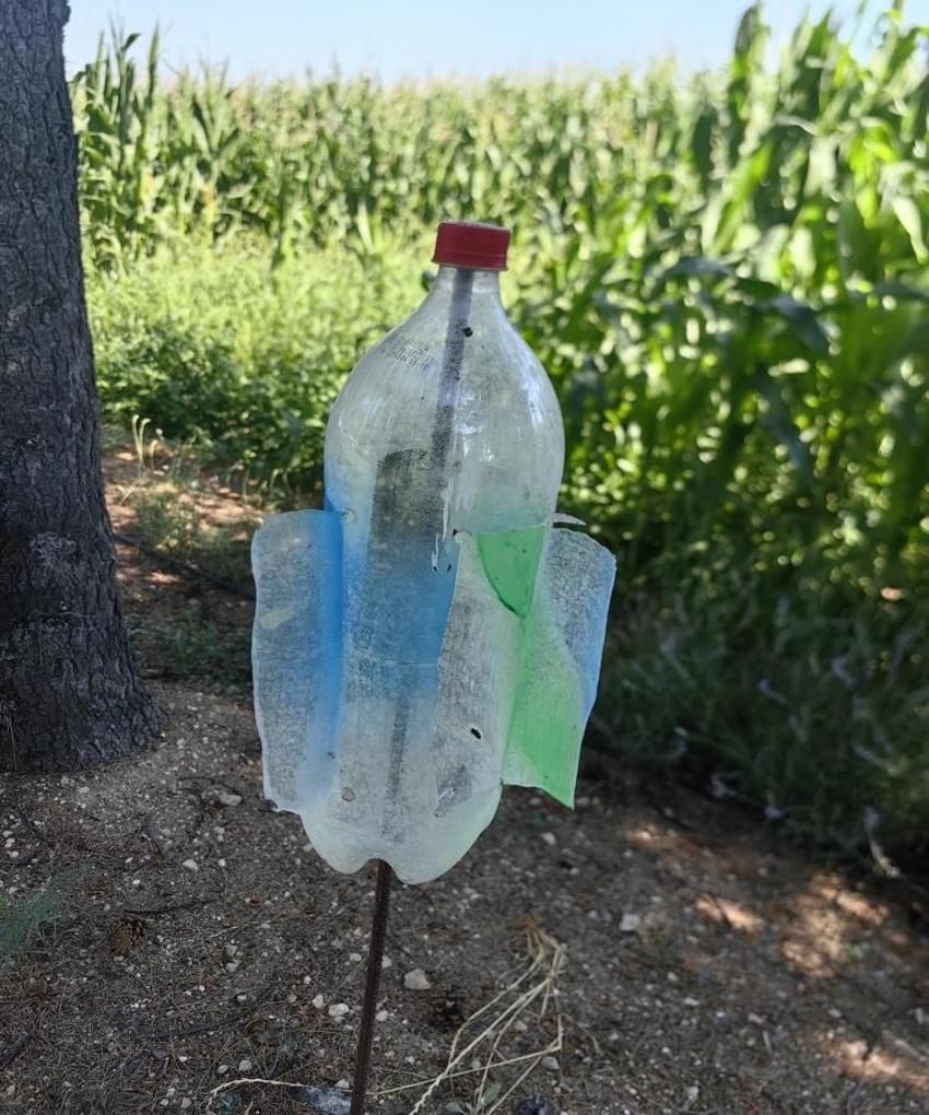 Konyalı çiftçi buldu, profesör paylaştı! Tarlada yılan bırakmayan yöntem: Gören şaşırıyor