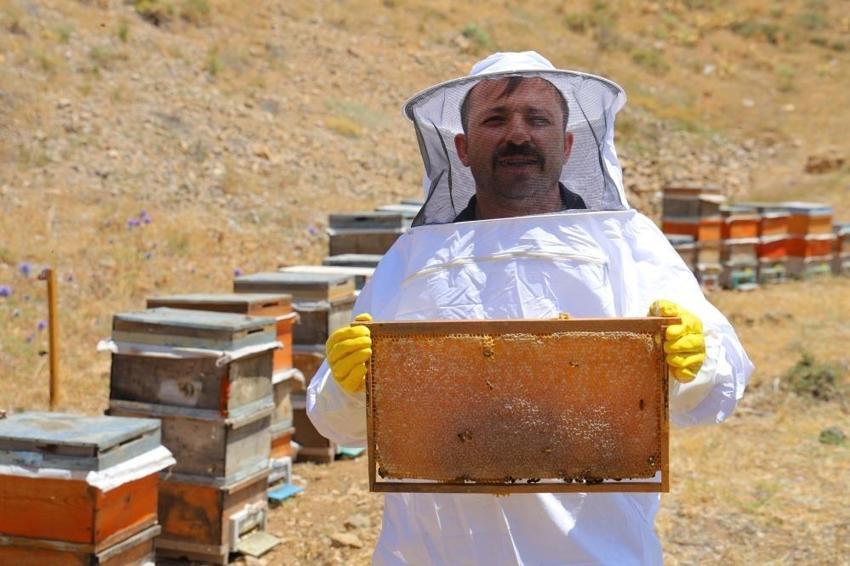 Pervari mi Anzer mi derken en iyi bal Maraş'tan çıktı! 22 bin ton üretildi