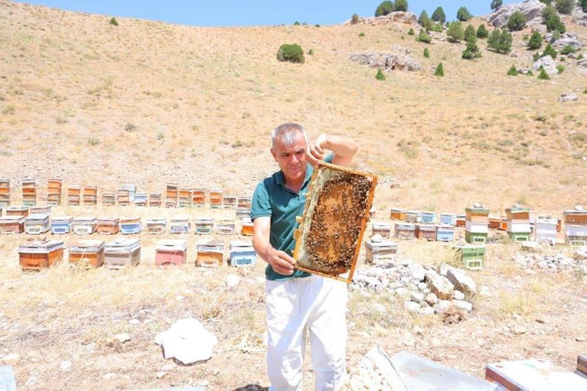 Pervari mi Anzer mi derken en iyi bal Maraş'tan çıktı! 22 bin ton üretildi