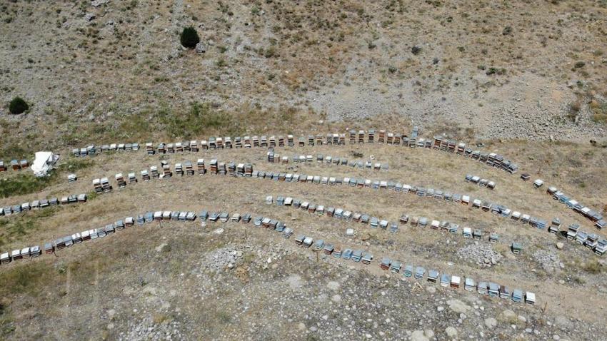 Pervari mi Anzer mi derken en iyi bal Maraş'tan çıktı! 22 bin ton üretildi
