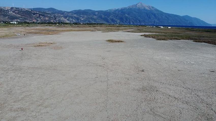 Göçmen kuşların son sığınağıydı: Yeniden canlandı, yüz binlercesi geri döndü!