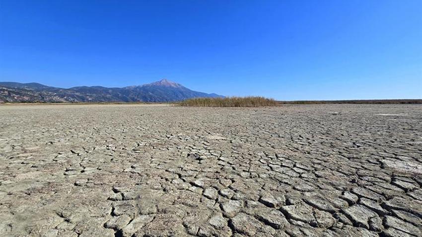 Göçmen kuşların son sığınağıydı: Yeniden canlandı, yüz binlercesi geri döndü!