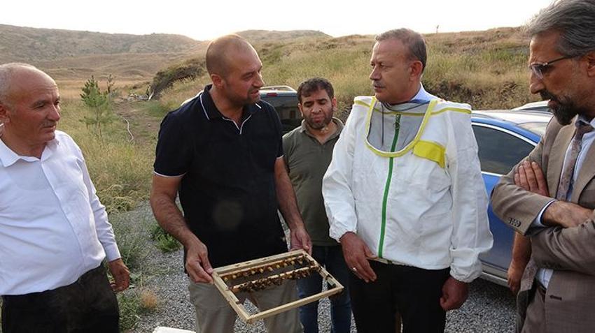 Bitlis'te hasat iki kat bereketli başladı! 150 kovandan rekor bal üretimi