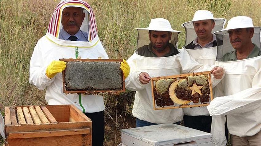 Bitlis'te hasat iki kat bereketli başladı! 150 kovandan rekor bal üretimi