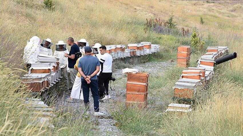 Bitlis'te hasat iki kat bereketli başladı! 150 kovandan rekor bal üretimi