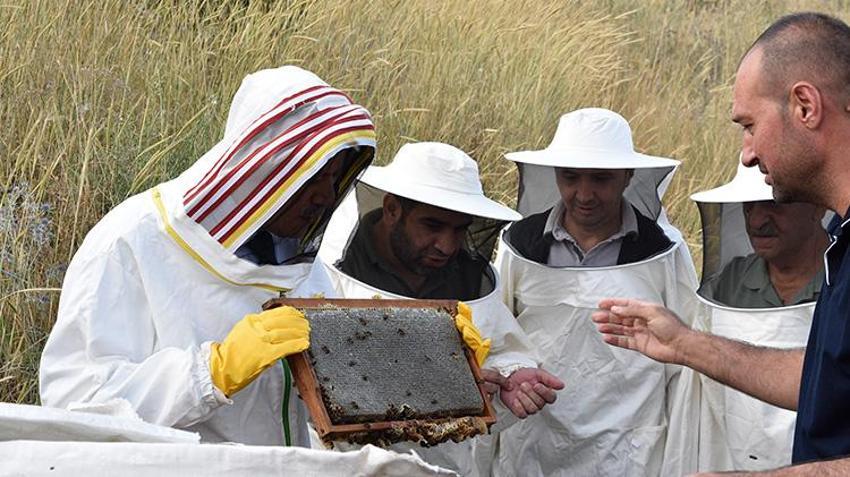 Bitlis'te hasat iki kat bereketli başladı! 150 kovandan rekor bal üretimi