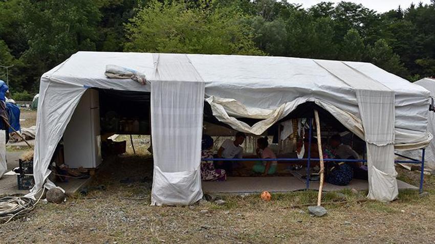 Çadırlar kuruldu hazırlıklar tamamlandı! Doğu ve Güneydoğu Anadolu'dan onlarca aile Ordu'ya geldi