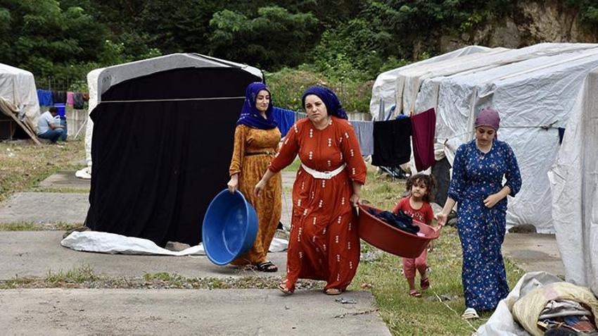 Çadırlar kuruldu hazırlıklar tamamlandı! Doğu ve Güneydoğu Anadolu'dan onlarca aile Ordu'ya geldi