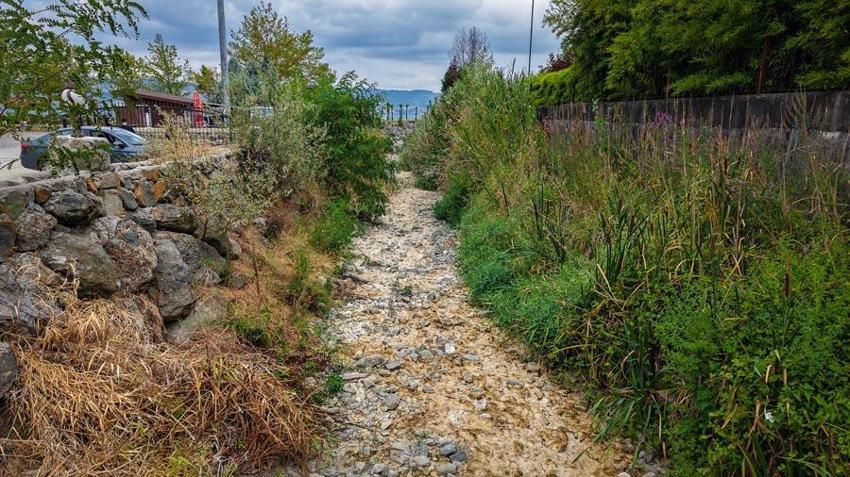Sakarya'da Sapanca Gölü için tarihi karar! Ticari ve konut abonelikleri takibe alınacak