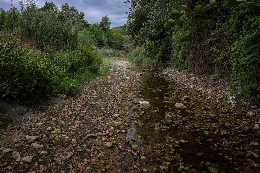 Sakarya'da Sapanca Gölü için tarihi karar! Ticari ve konut abonelikleri takibe alınacak