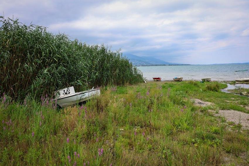 Sakarya'da Sapanca Gölü için tarihi karar! Ticari ve konut abonelikleri takibe alınacak