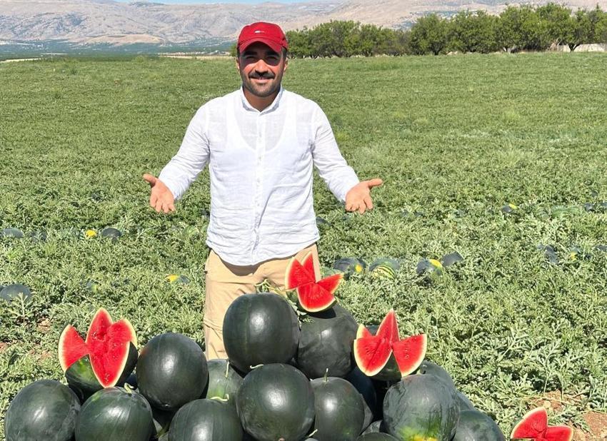 Adana'ya rakip olacak! Malatya'da hasatta üretim patladı, günde tonlarca toplanıyor: Kilosu 3 TL