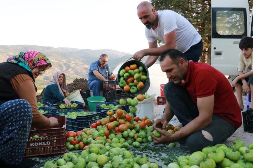 Konya'da arkadaşlarıyla otururken aklına geldi! Tek sözüyle yaptı, kapış kapış satılıyor
