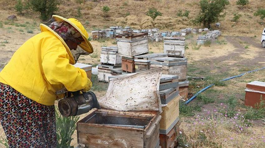 Yüksekovalı kadının büyük başarı hikayesi! 30 yıl önce devletin verdiği 5 kovanla arıcılık yapmaya başladı