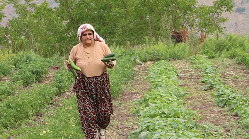 Yüksekovalı kadının büyük başarı hikayesi! 30 yıl önce devletin verdiği 5 kovanla arıcılık yapmaya başladı