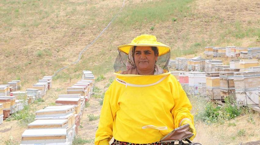 Yüksekovalı kadının büyük başarı hikayesi! 30 yıl önce devletin verdiği 5 kovanla arıcılık yapmaya başladı