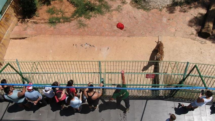 Gaziantep'in aslan ve kaplanlarına özel menü; buzlu et! Sıcaklarla böyle mücadele ediyorlar