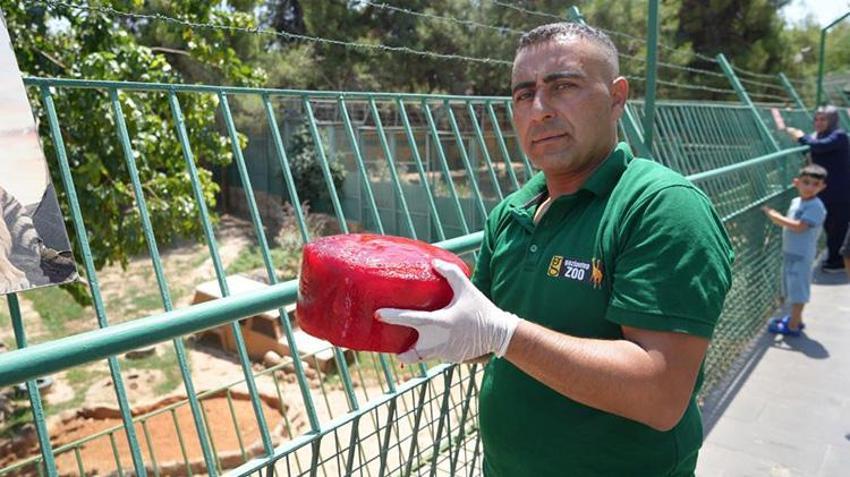Gaziantep'in aslan ve kaplanlarına özel menü; buzlu et! Sıcaklarla böyle mücadele ediyorlar