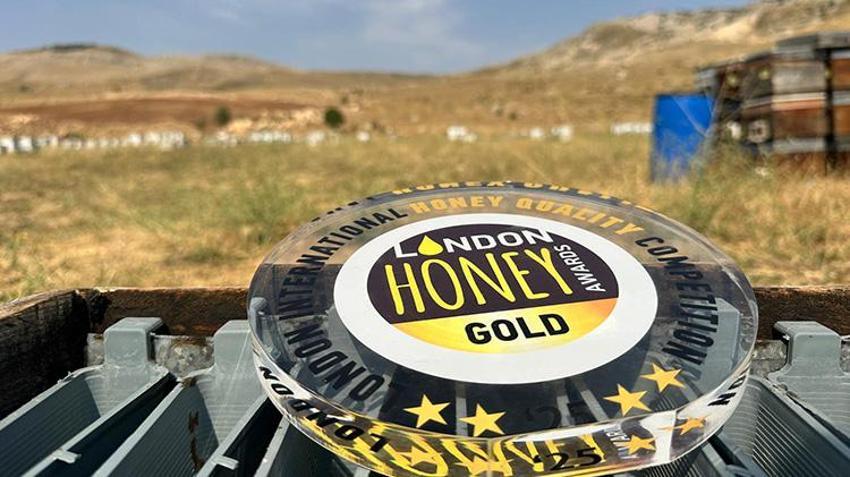 Coğrafi İşaretli Munzur Balı'na Avrupa'dan lezzet ödülü: Jüri hayran kaldı!