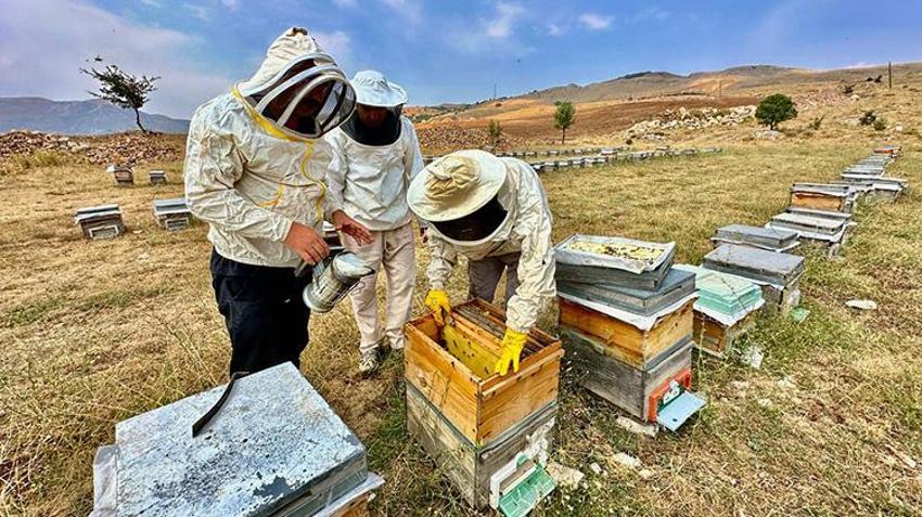 Coğrafi İşaretli Munzur Balı'na Avrupa'dan lezzet ödülü: Jüri hayran kaldı!