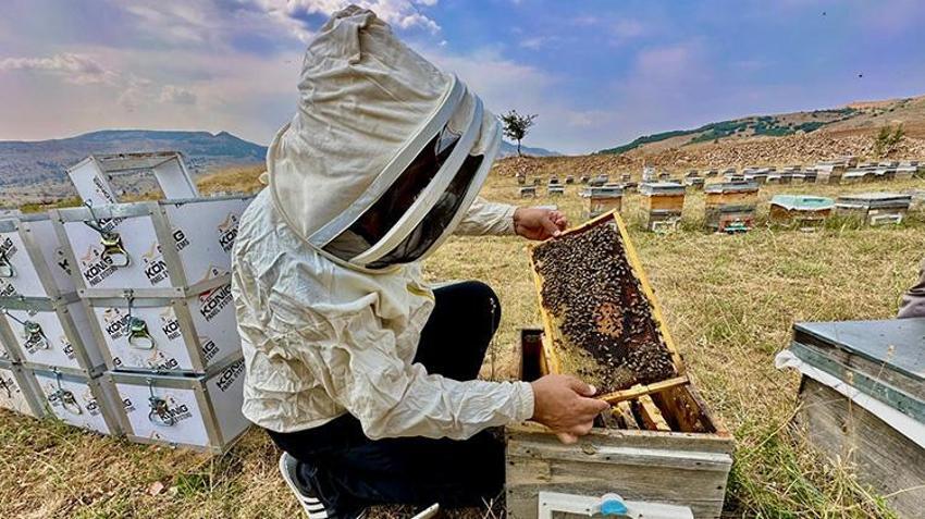 Coğrafi İşaretli Munzur Balı'na Avrupa'dan lezzet ödülü: Jüri hayran kaldı!