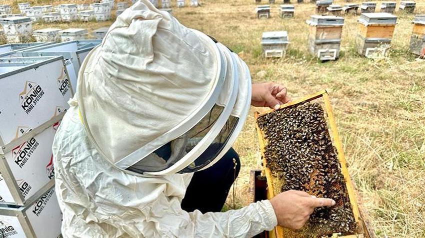 Coğrafi İşaretli Munzur Balı'na Avrupa'dan lezzet ödülü: Jüri hayran kaldı!